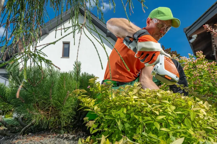 Landscaping